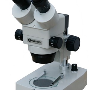 Microscope Bino Zoom 45x Embryo