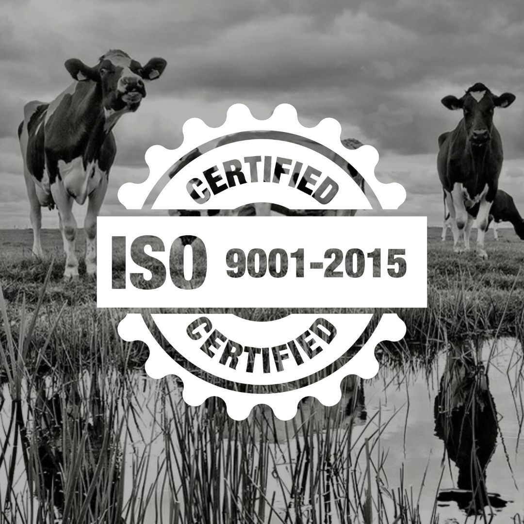 ISO recertification 2024